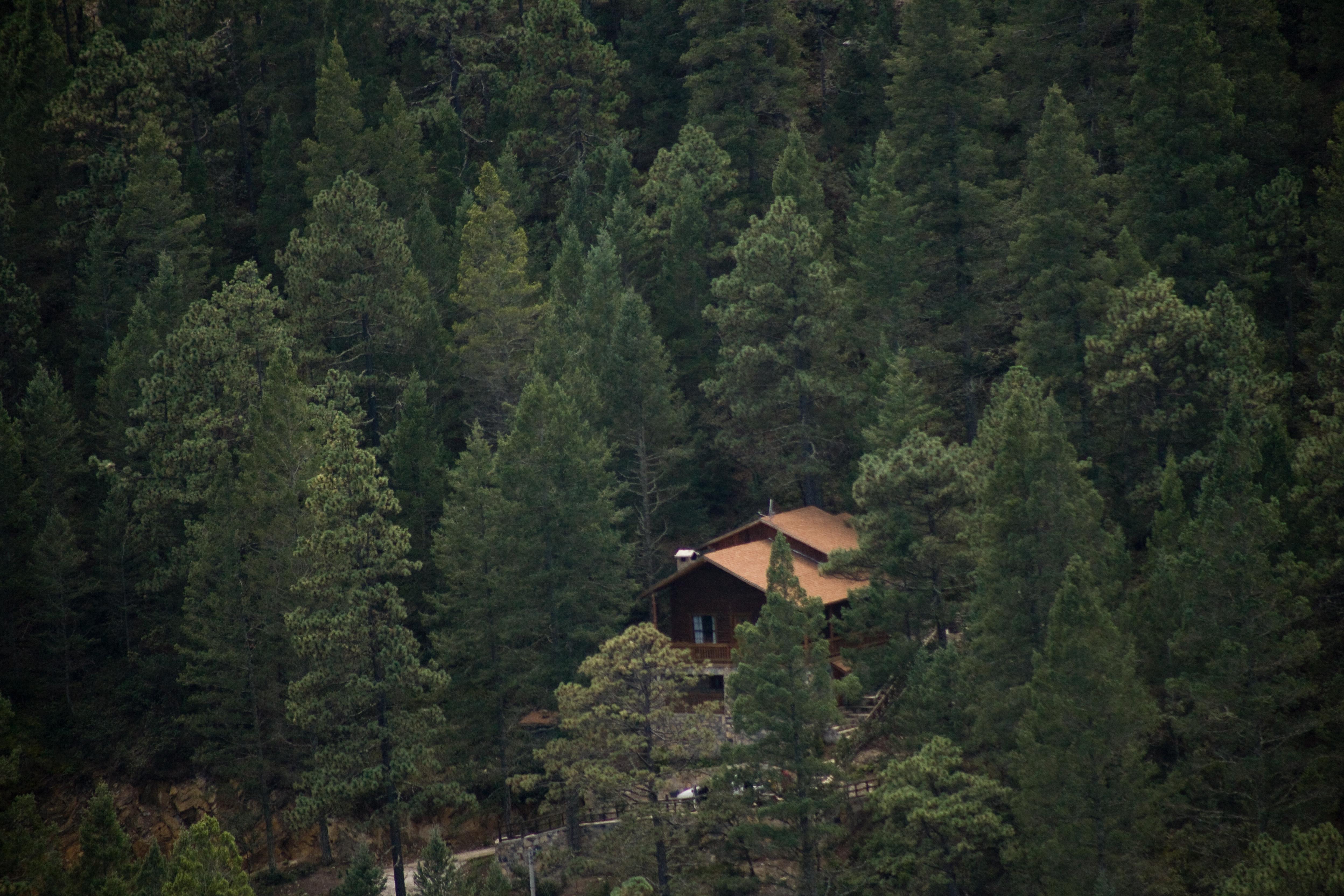 Bosques De Monterreal Hotel San Antonio de las Alazanas Buitenkant foto