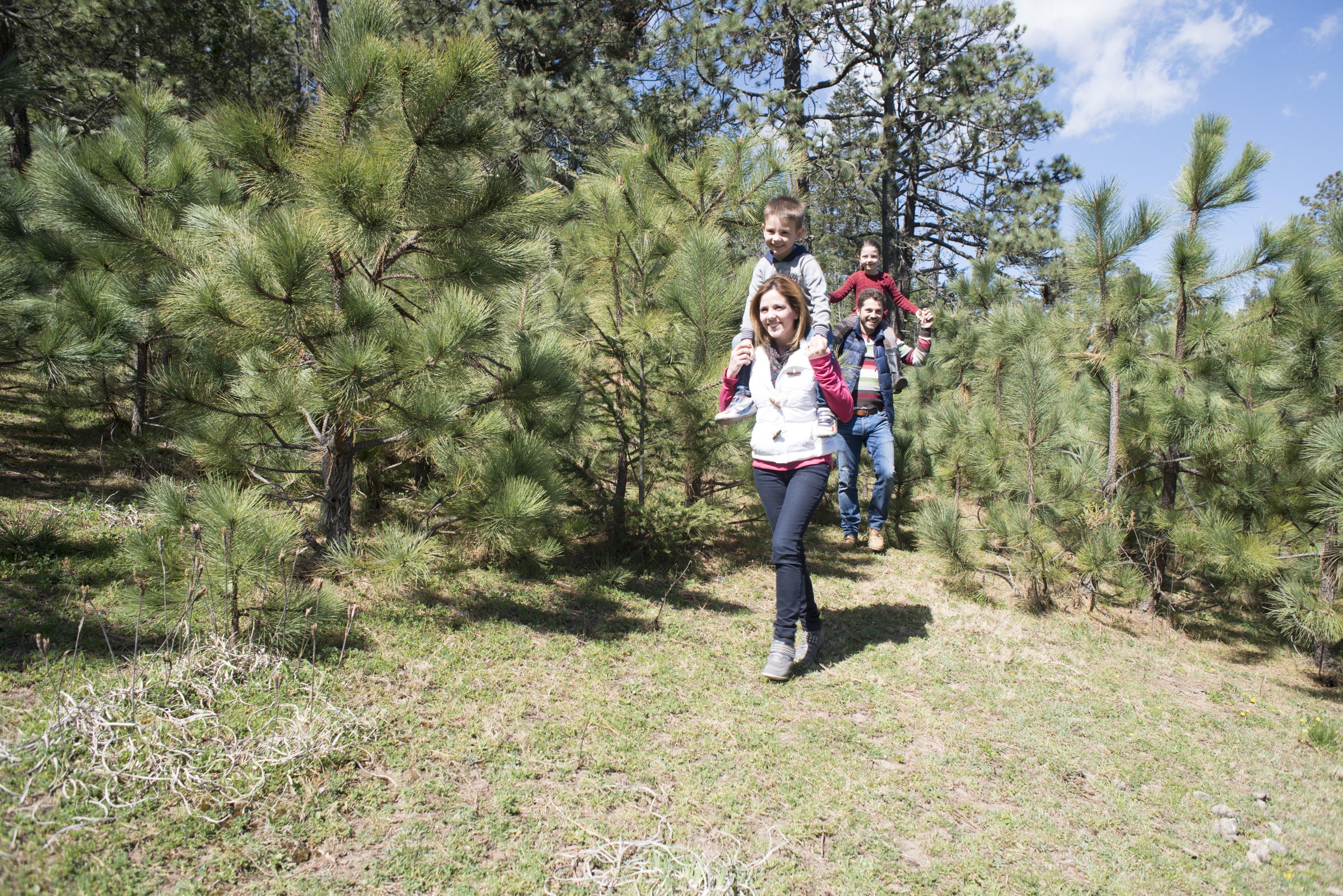 Bosques De Monterreal Hotel San Antonio de las Alazanas Buitenkant foto